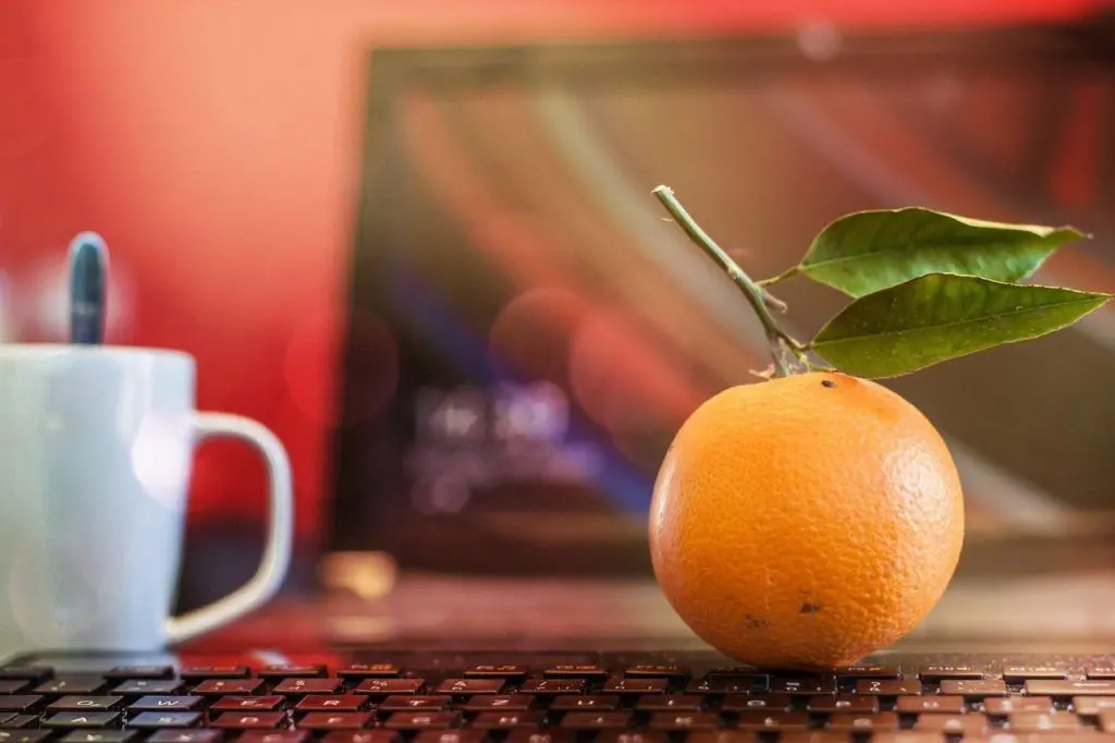 La livraison de fruits au travail