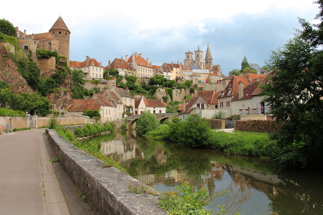 Aligoté de Bourgogne : guide complet accords et choix