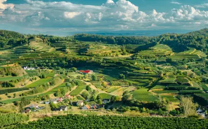 Aerial view of lush vineyards and rolling hills under a dramatic sky.