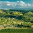 Aerial view of lush vineyards and rolling hills under a dramatic sky.