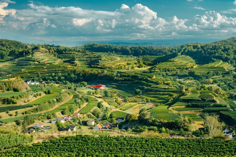 Aerial view of lush vineyards and rolling hills under a dramatic sky.